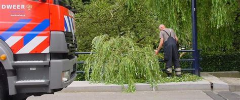 Mijd open water en open gebied, schuil niet onder bomen. Zondag 23 juli: Stormschade na noodweer van zaterdag 22 juli