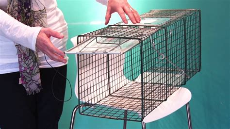 How To Set A Feral Cat Trap Spay Neuter Charlotte Cat Traps Feral