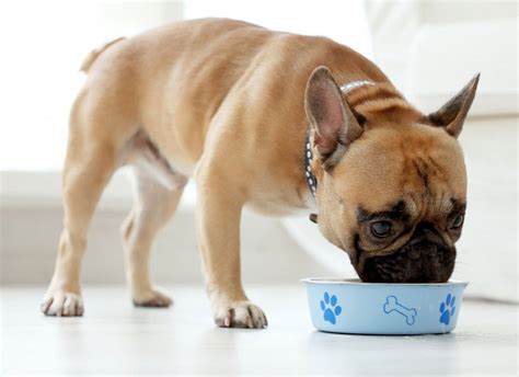 13 top rated dog foods without chicken. Top 10 Dog Foods without Peas, Legumes, Potatoes & Lentils ...