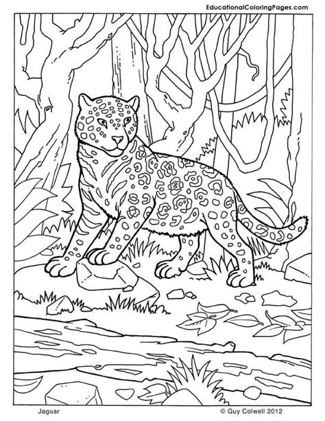 The pages can allow kids to color on their own or can be used in other activities such as learning about animals and their habitat. Mammals Book Four Coloring Pages | Animal Coloring Pages ...