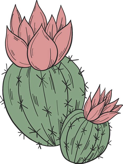 Cartoon Cactus Flower Png