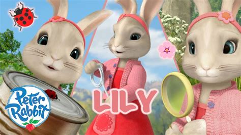 Officialpeterrabbit 🌟 Lilys Brilliance 🌟 Day Of The Girl Special