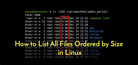 Trending Global Media How To List All Files Ordered By Size In Linux