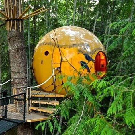 9 Gorgeous Treehouse Hotels You Wont Want To Check Out Of