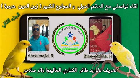 تعتبر سلالة المالينوا البلجيكية (بالإنجليزية:belgian malinois) من أكثر سلالات الكلاب المختارة من قبل وحدات الشرطة. لقاء ولاعي : تعريف تغاريد طائر الكناري المالينوا Canari ...