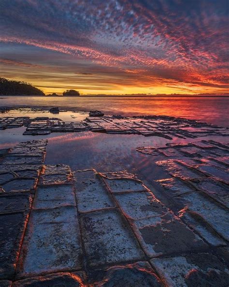 A Magic Sunrise From Tessellated Pavement Thanks To Bjorn Baklien