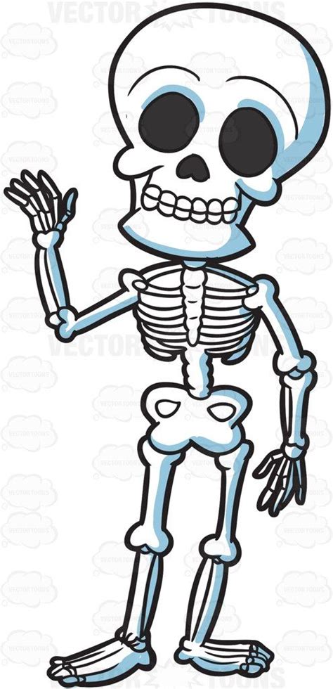 A Friendly Skeleton • Vector Graphics • Skeleton