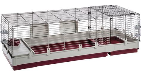 Best Indoor Guinea Pig Cage Models Reviewed With Tips For Choosing