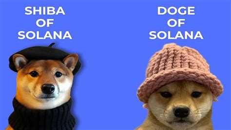 Guest Post By Decentralized United Doge And Shiba In Solana Meet The
