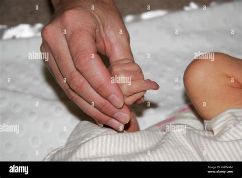 One Week Old Baby Hand Stock Photo Alamy