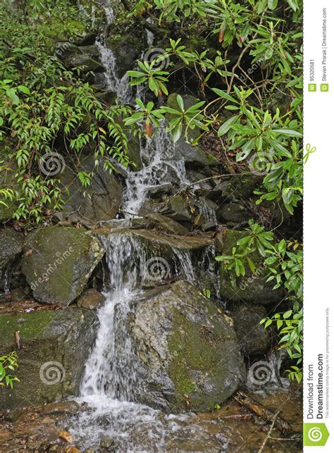 Hidden Falls In The Rhododendron Stock Image Image Of Carolina