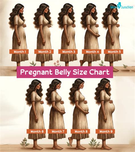 Pregnant Belly Size Chart And Shape Things You Should Know
