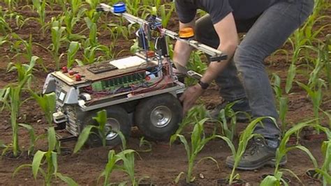 Farming Robots Get To Grips With Weeding At Harper Adams Principia
