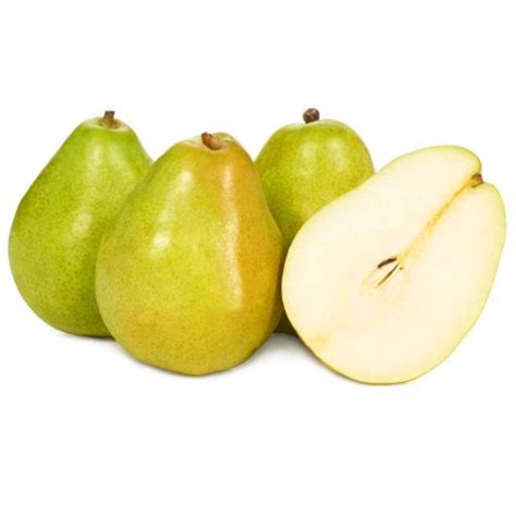 Anjou Pear Versatile Fruit And How To Grow Its Tree
