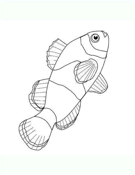 Dessin Poisson Simple Ma Tchou Team Fiches Dactivité Autour De La Mer