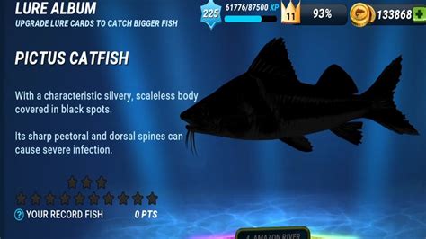 I Bought The New Pictus Catfish Fishing Clash Gameplay Ep338 Youtube