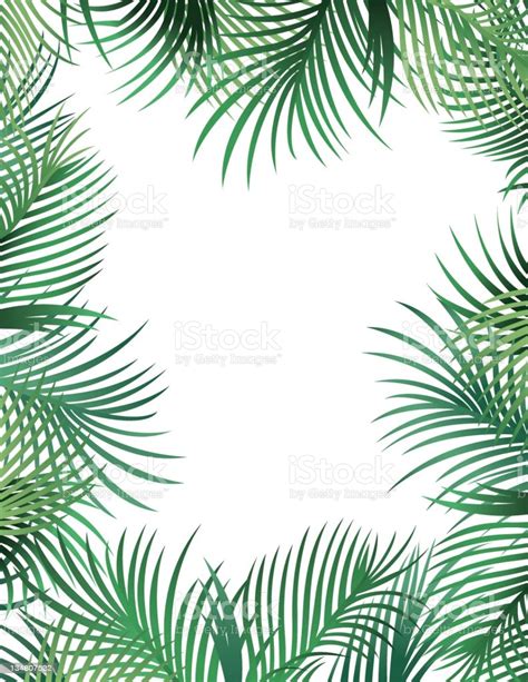 Palm Leaf Border Stock Illustration Download Image Now