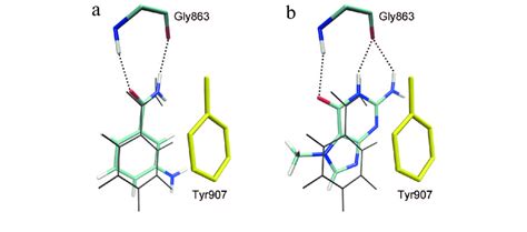 Docking Poses Of 3 Aminobenzamide A And 7 Methylguanine B In The