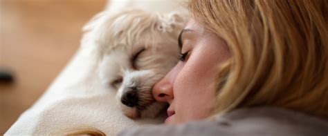 Dormire Con Il Cane Migliora Il Sonno Innovet