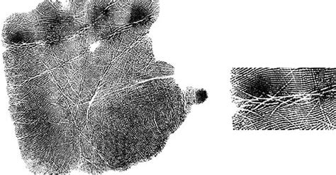 Researchers Seek To Improve Identification Of Palm Prints