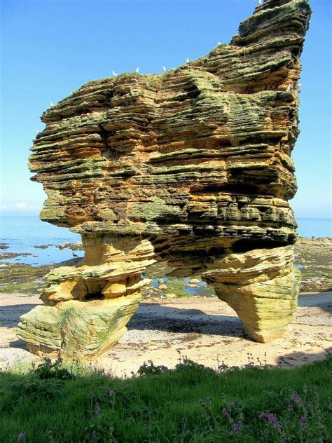 Sandstone Geology Hopeman Moray Coast Scotland 美しい景色 景色 美しい