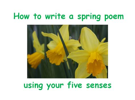 How To Write A Spring Poem Using Your Senses Ks2 Power Point And