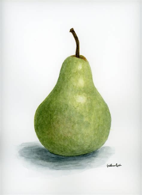 Realistic Pear Fruit Watercolor Painting Giclee Archival Print Still