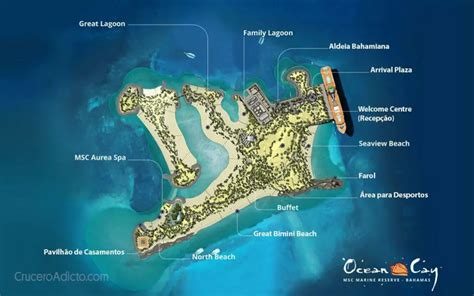 Ocean Cay Msc Marine Reserve GuÍa De Lo Que Encontrará El Crucerista