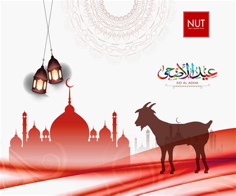 Eid Al Adha 2020 In Pakistan And How It Is Celebrate