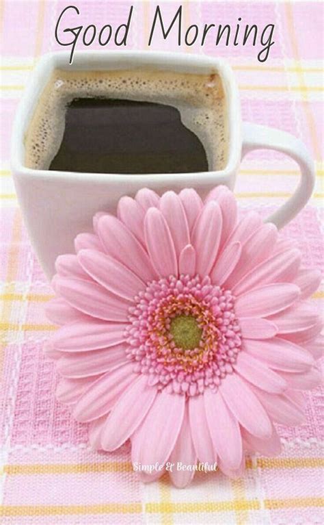 32219 Good Morning Greetings Good Morning Coffee Beautiful Pink