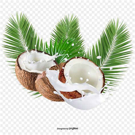 Coconut Fruit Png Image Sweet Coconut Fruit Coconut Clipart Fruit