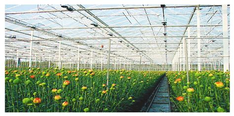 Vintage grow high yield grow light harvests more solid dense buds everytime! Vintage Hardware & Lighting - Grow Lights- Induction ...
