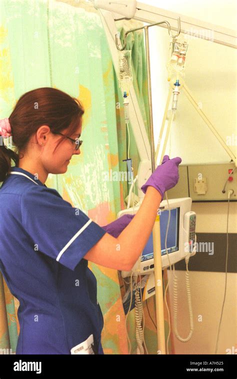 Nurse In Hospital Ward Checking And Adjusting Patients Drip Stock Photo