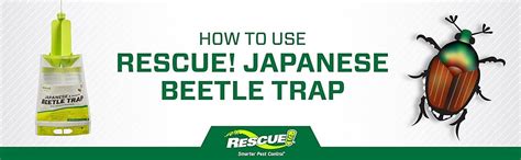 Japanese Beetle Trap Refill Lure For Rescue Japanese