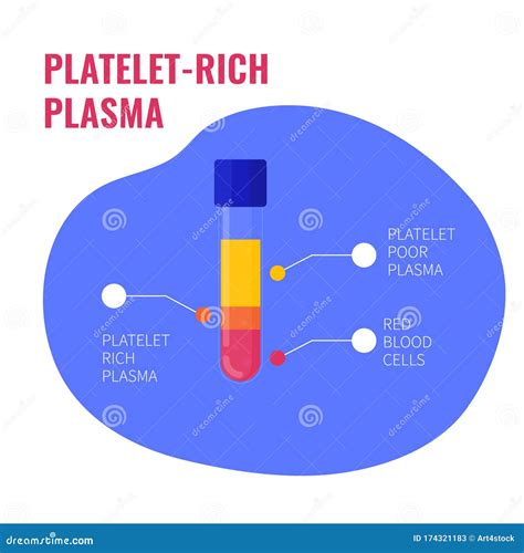 Platelet Rich Plasma Composition Infographic Medical Poster Stock