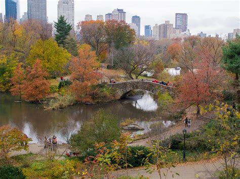 The Pond Central Park Conservancy