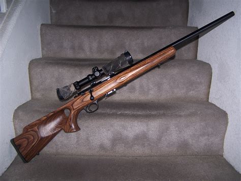 Thinking About A Rifle Buy 17 Hmr To Avoid The 22 Lr Debacle Page 2