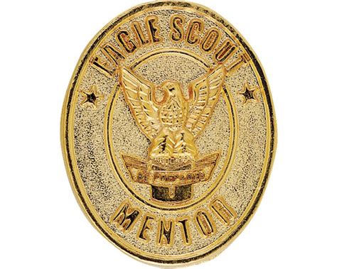Silver Eagle Mentor Pin Boy Scouts Of America