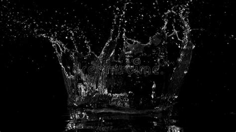 Abstract Water Splashes Isolated On Black Background Stock Image