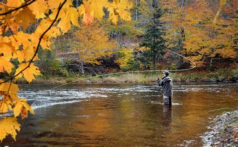 5 Tips For Fly Fishing This Fall Gander Rv And Outdoors