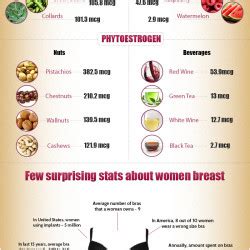 European american bra size conversion chart off 63 abrafiltros br. Foods that Increase Breast Size | Visual.ly