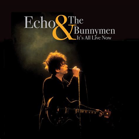 Vinyl Review Echo And The Bunnymen — Its All Live Now Rock Star