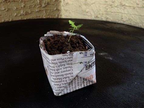 How To Make Biodegradable Newspaper Seedling Pots Craft Projects For