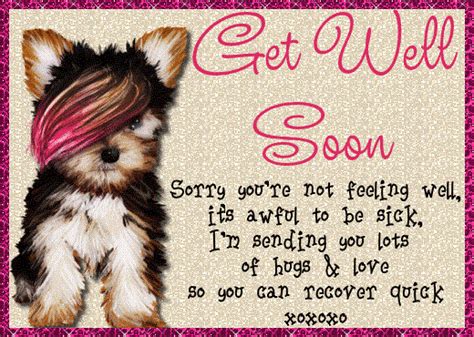 Cute Puppy Get Well Card Free Get Well Soon Ecards Greeting Cards