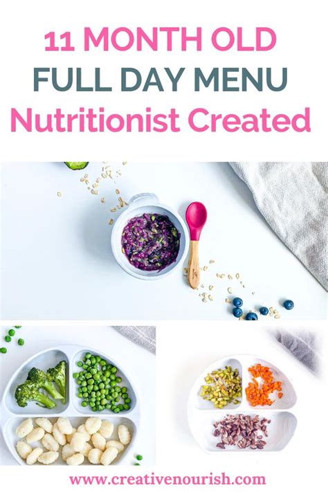 11 Month Old Meal Plan   Nutritionist Approved   Creative  