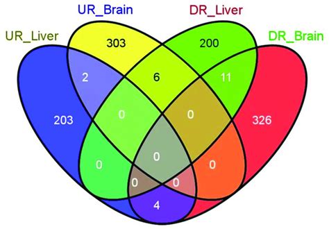 Download and use 400+ liver diagram stock photos for free. Venn diagram of the differentially expressed genes in the ...