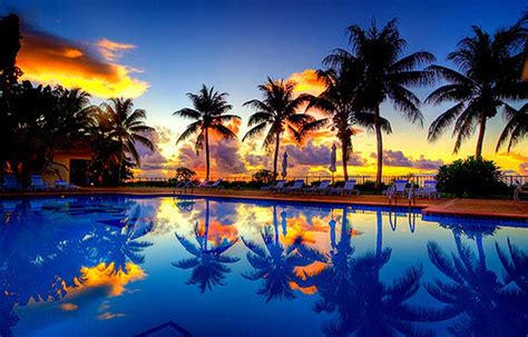 45 Blue Palm Tree Sunset Wallpapers Download At Wallpaperbro Tree