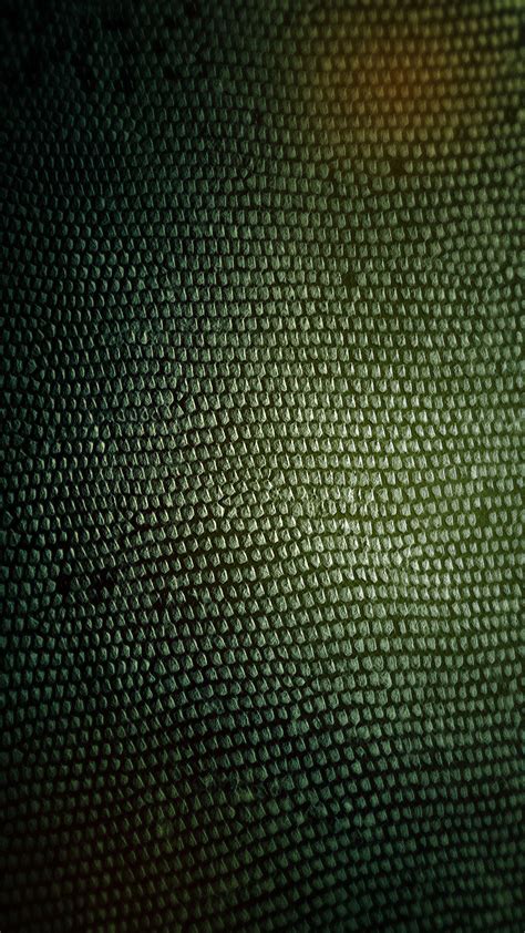 58 snake skin wallpapers images in full hd, 2k and 4k sizes. Black Snake Skin Wallpaper (55+ images)