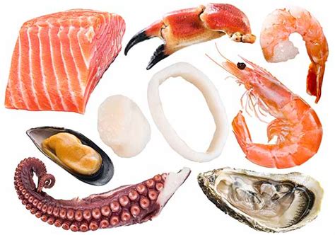 24 Healthy Types Of Seafood The Best Options Nutrition Advance