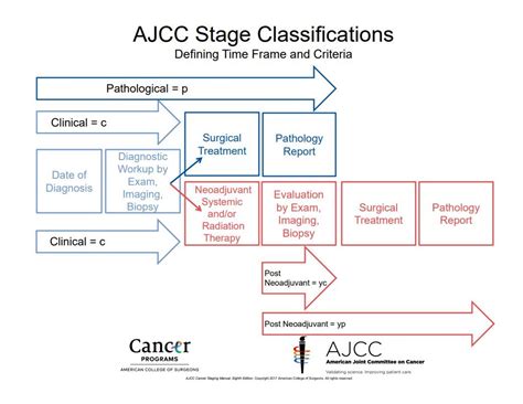 Ajcc Staging Rules Acs